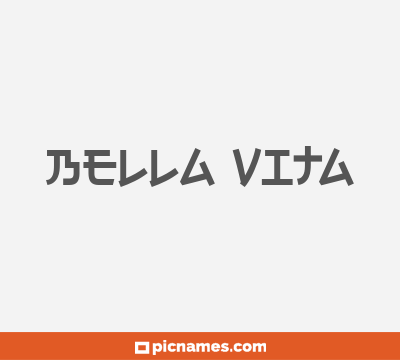 Bella Vita